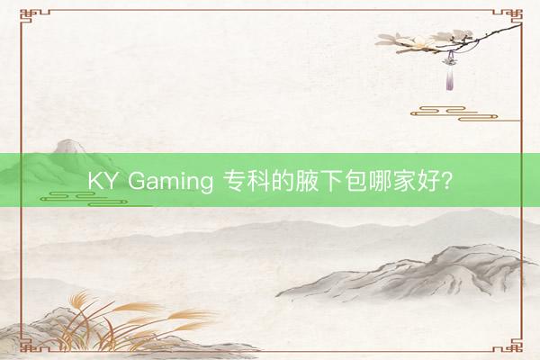 KY Gaming 专科的腋下包哪家好？