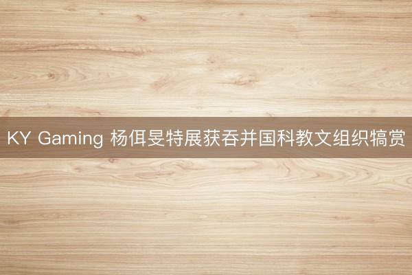 KY Gaming 杨佴旻特展获吞并国科教文组织犒赏