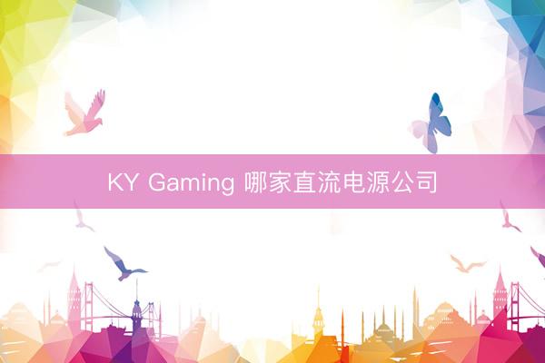 KY Gaming 哪家直流电源公司