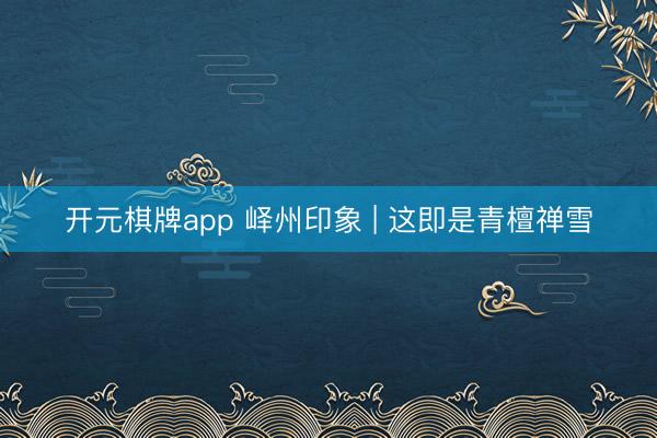 开元棋牌app 峄州印象 | 这即是青檀禅雪