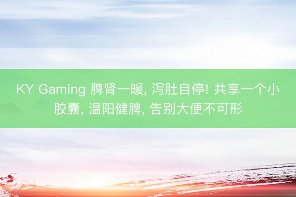 KY Gaming 脾肾一暖， 泻肚自停! 共享一个小胶囊， 温阳健脾， 告别大便不可形