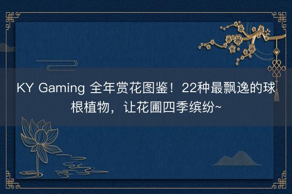 KY Gaming 全年赏花图鉴！22种最飘逸的球根植物，让花圃四季缤纷~