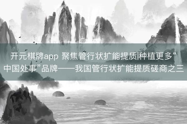 开元棋牌app 聚焦管行状扩能提质|种植更多“中国处事”品牌——我国管行状扩能提质磋商之三